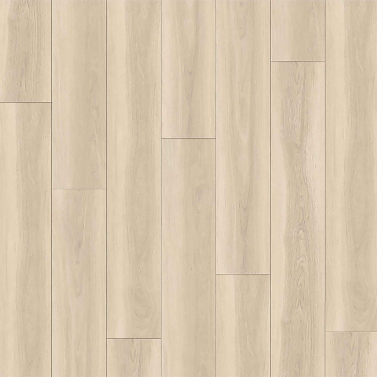 Plancher de vinyle SPC chêne Beagle beige de 4,5 mm, 5'' x 48''