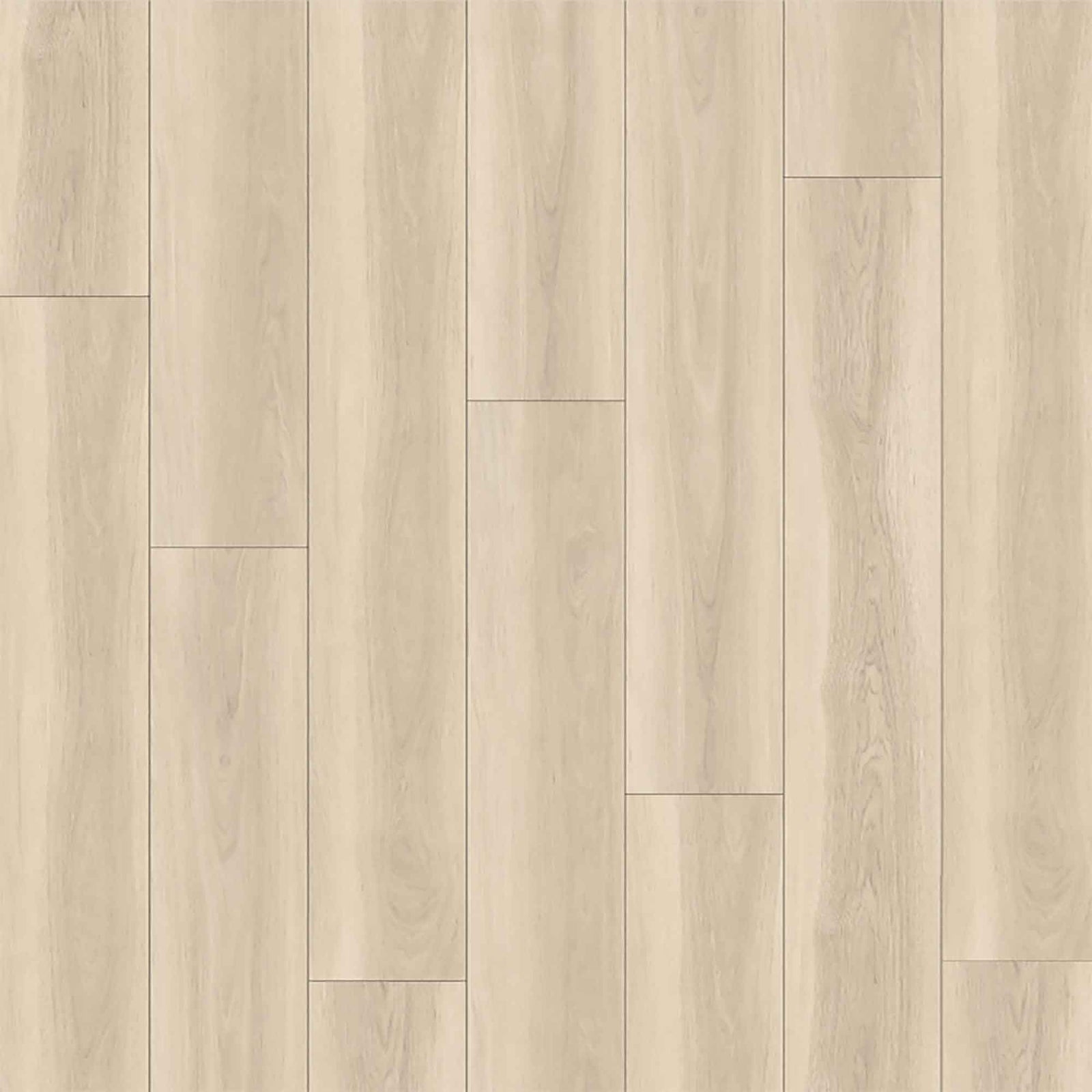 Plancher de vinyle SPC chêne Beagle beige de 4,5 mm, 5'' x 48''
