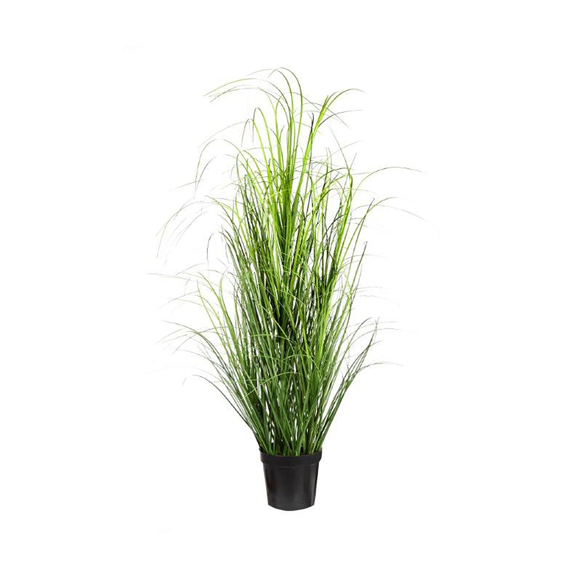 Herbes de PVC en pot, 39&#39;&#39;