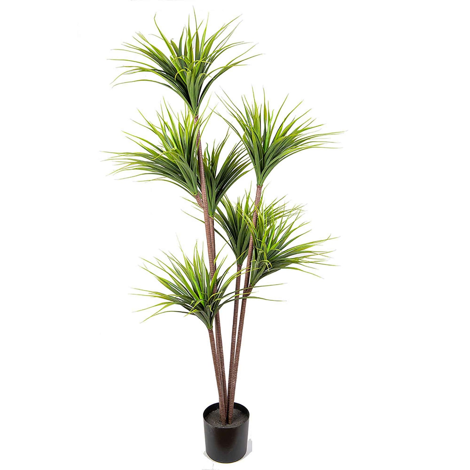 Plante Dracaena artificielle en pot noir, 70"