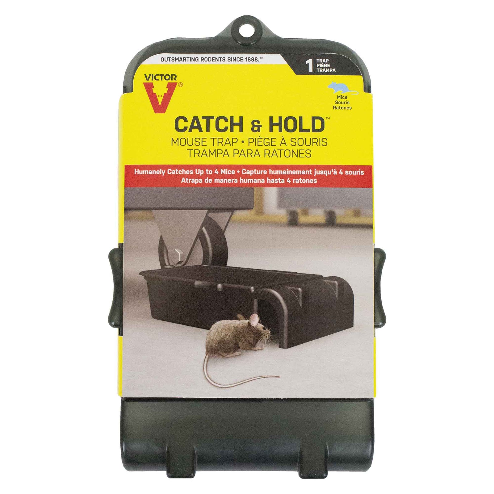 Piège à souris ''Catch and Hold'', jusqu'à 4 souris