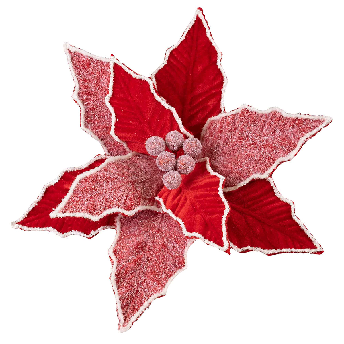 Poinsettia en velours rouge avec pétales givrés sur clip, 11&quot;