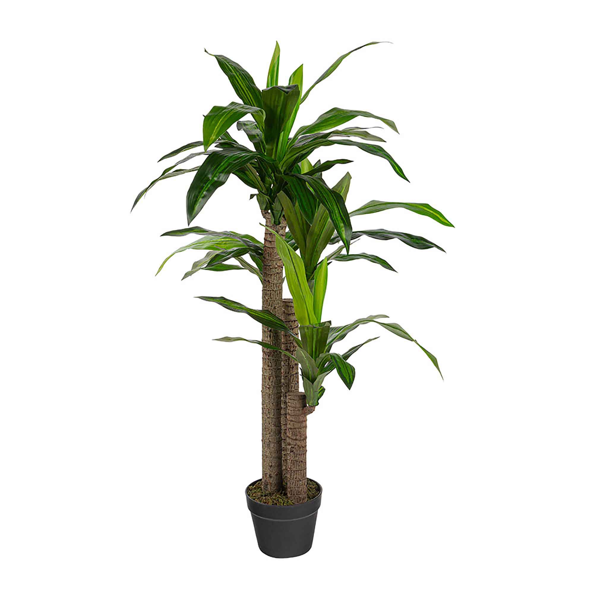 Plante Dracaena artificielle, 49''