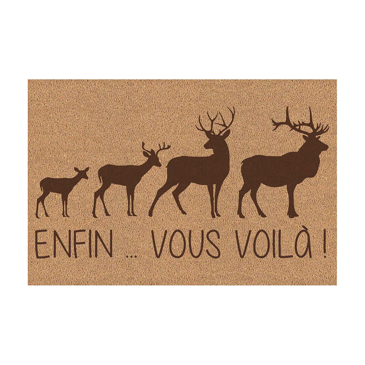 Tapis coco avec inscription &quot;ENFIN … VOUS VOILÀ!&quot;, 23,5&quot; x 16&quot; 