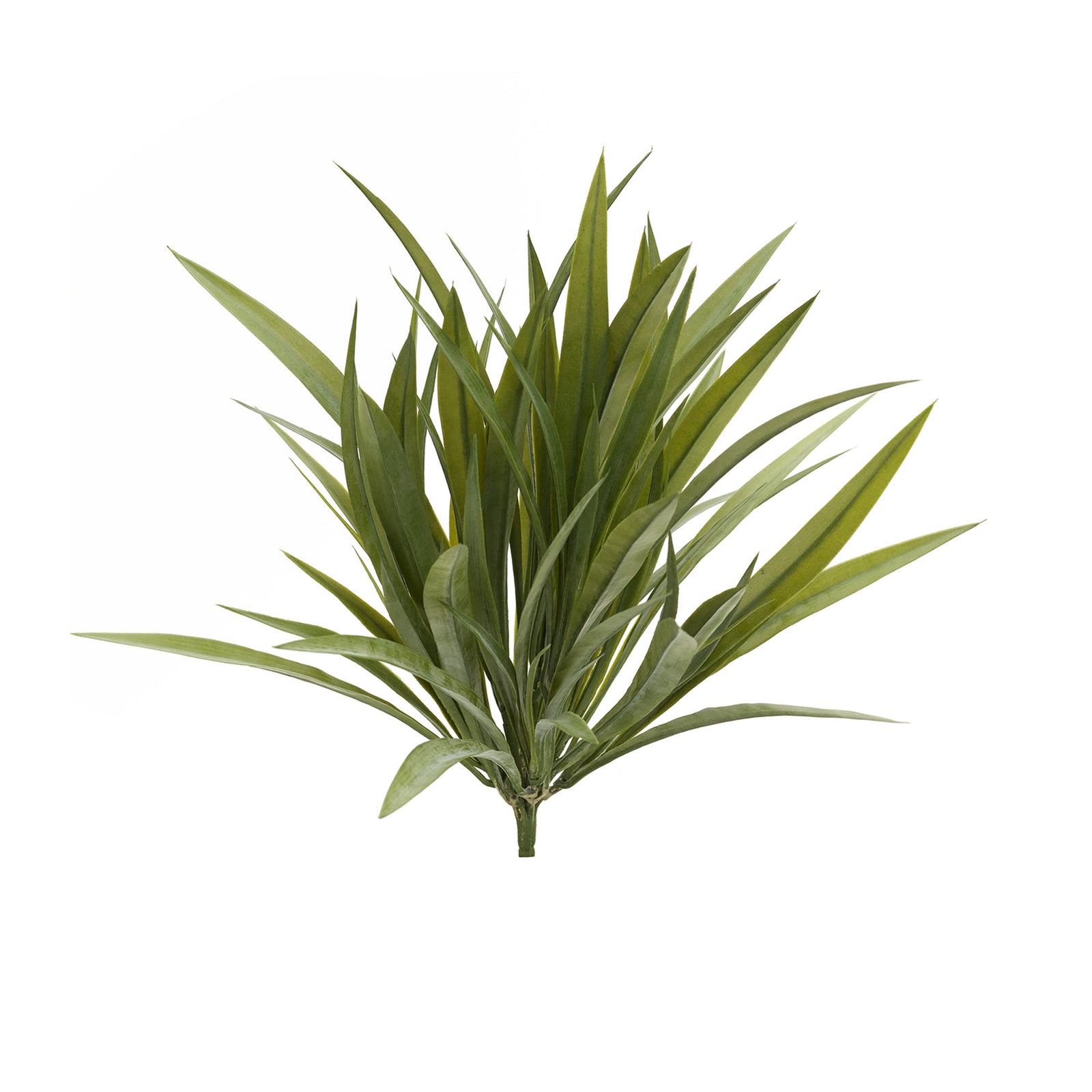 Buisson d'herbes sauvages vertes, 15''