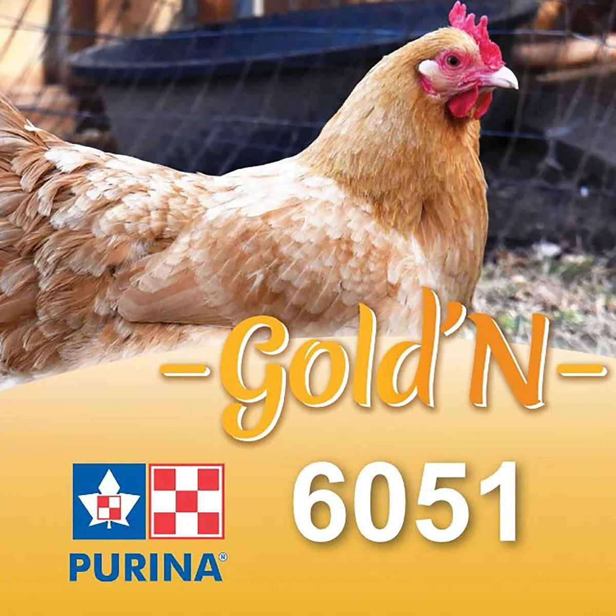 Moulée de croissance pour poulets GOLD&#39;N Moisson concassée, 25 kg (#6051)