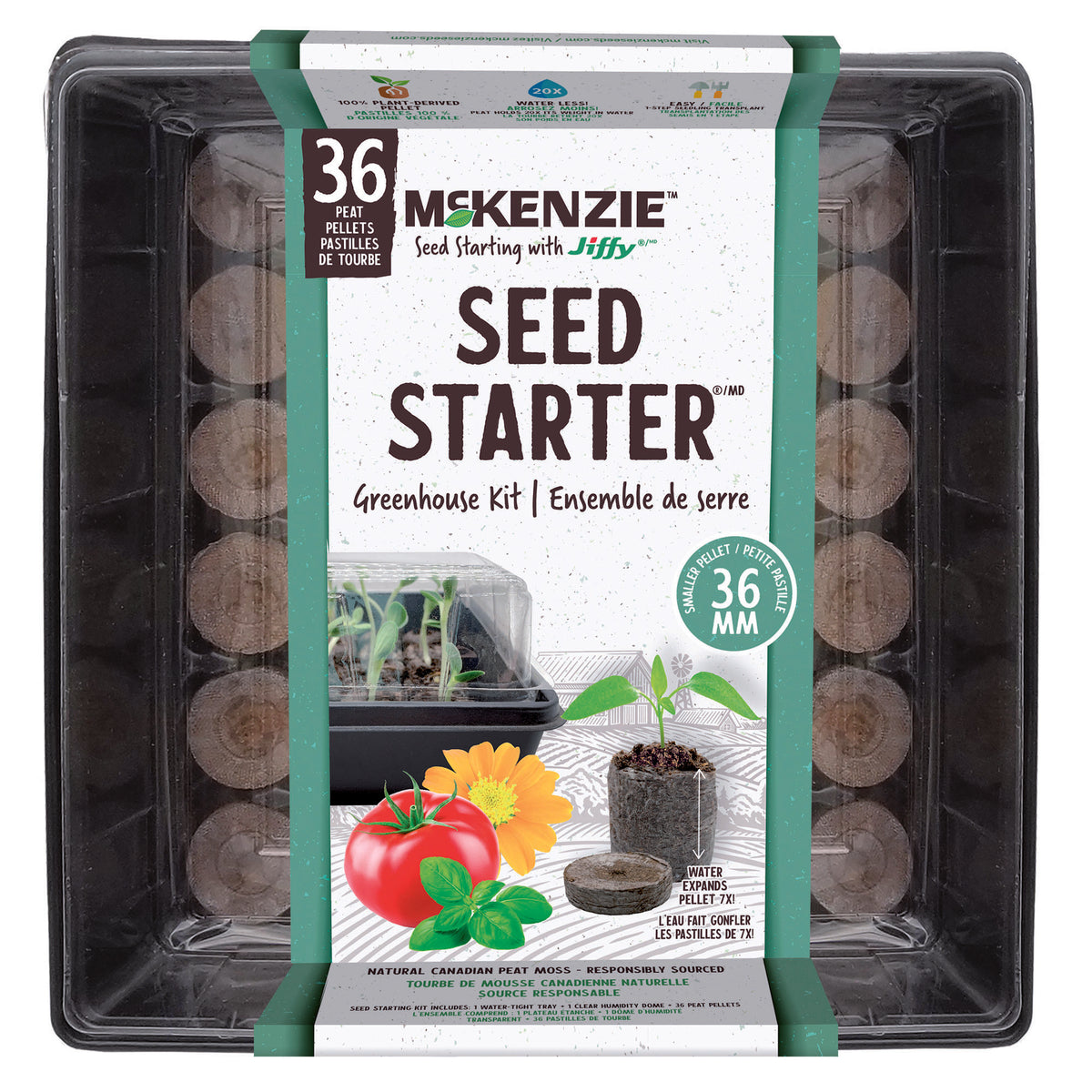 Serre pour semis avec 36 pastilles de tourbe, 38 pièces