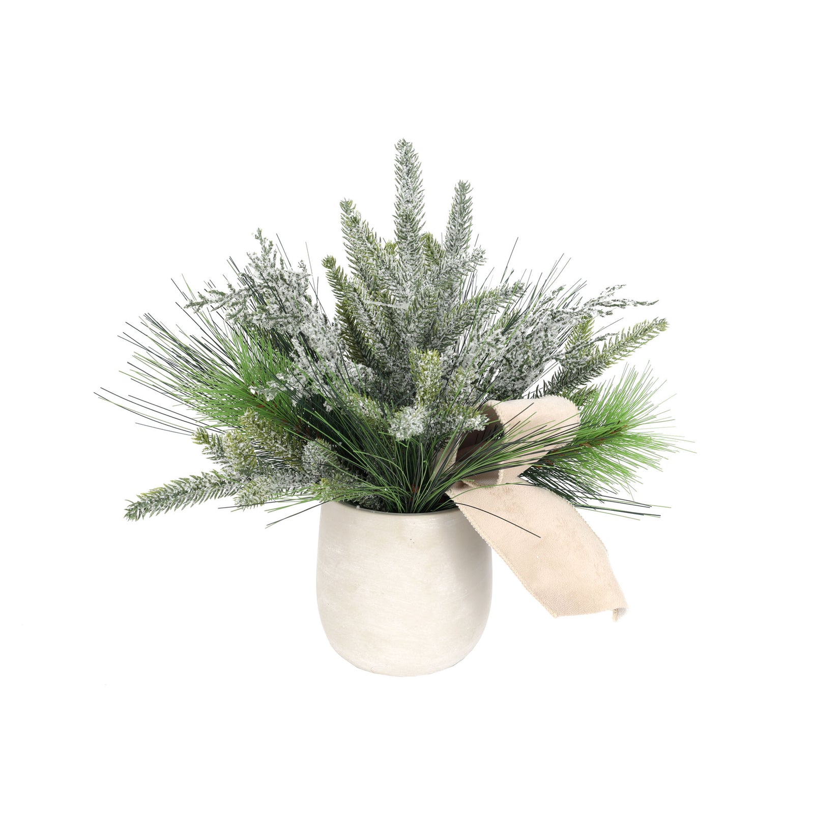 Arrangement de pin mixte en pot avec ruban en tissu, 12" (30 cm)