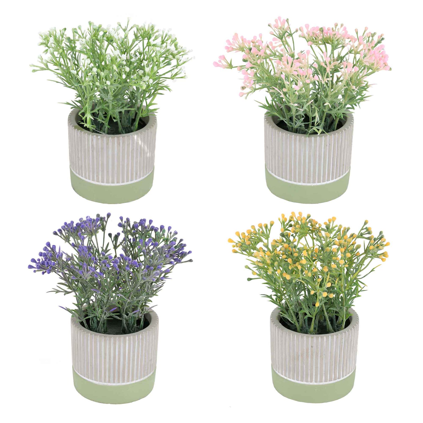 Plant de verdure avec bourgeons colorés dans un pot de ciment, 5,9'' (choix entre 4 couleurs)