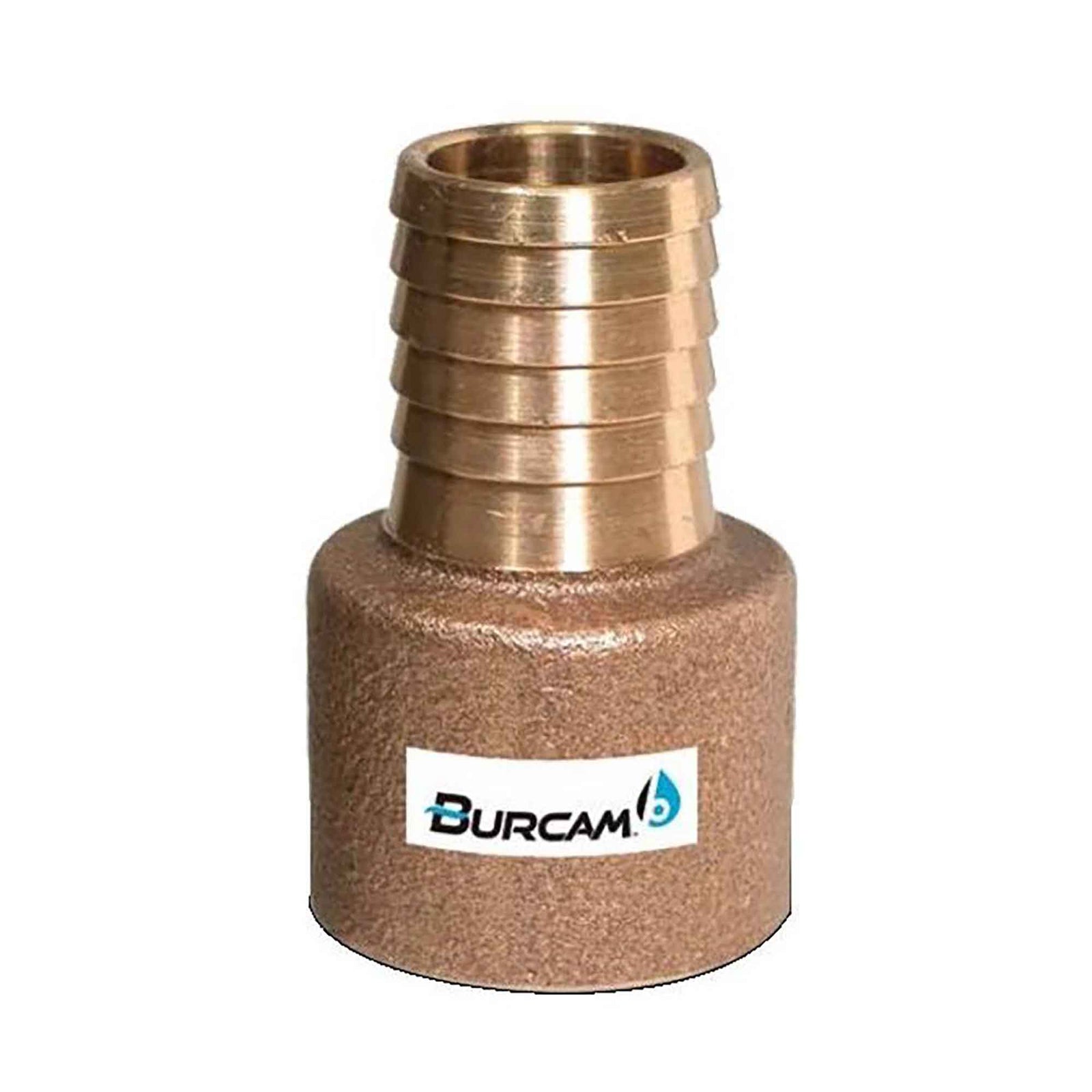 Adaptateur de tuyau en laiton, 1'' x FPT x 1'' barbelure