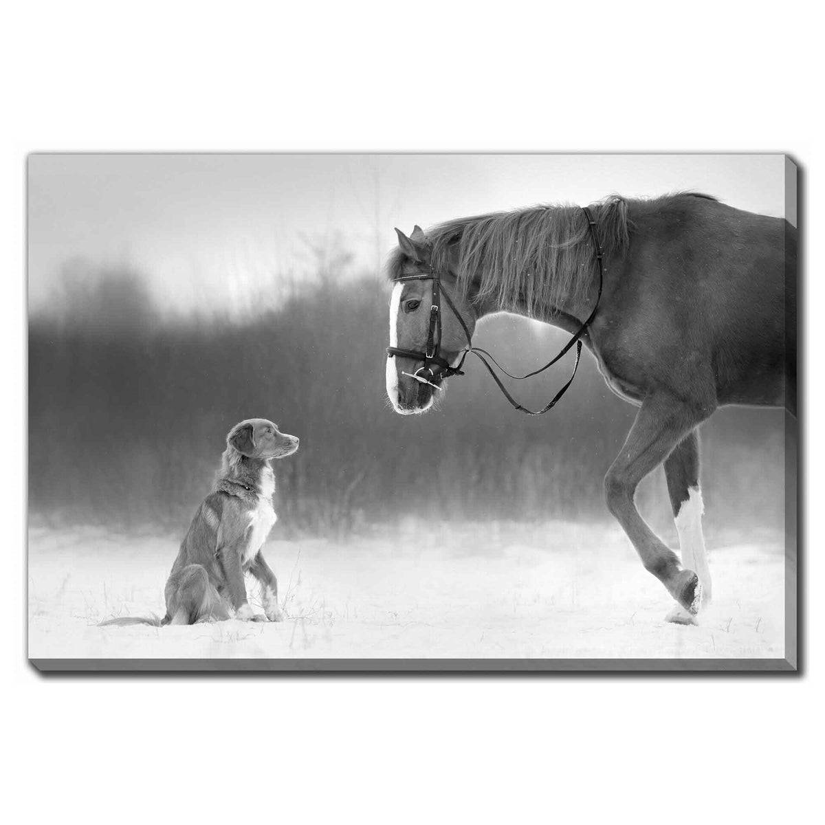 Impression sur toile cheval et chien dans la neige, 45'' x 30''