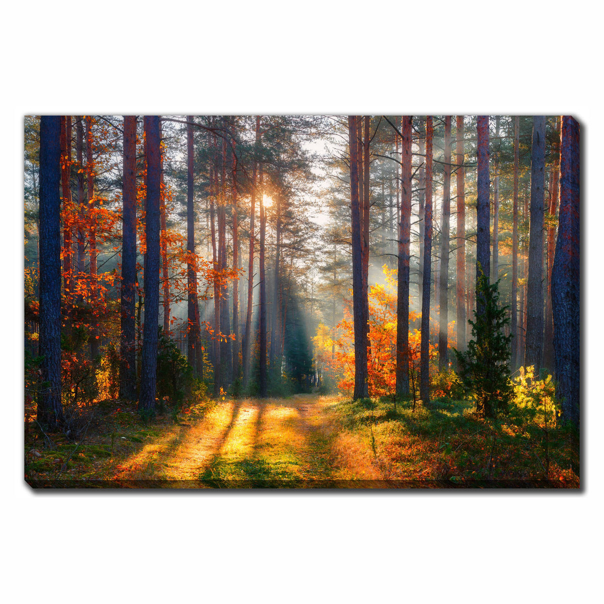 Canevas forêt d'automne, 30" x 45" 