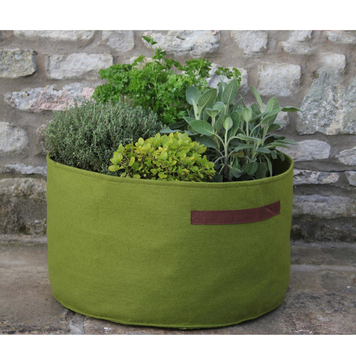 Jardinière Vigoroot pour fines herbes, 18&#39;&#39; x 10&#39;&#39;