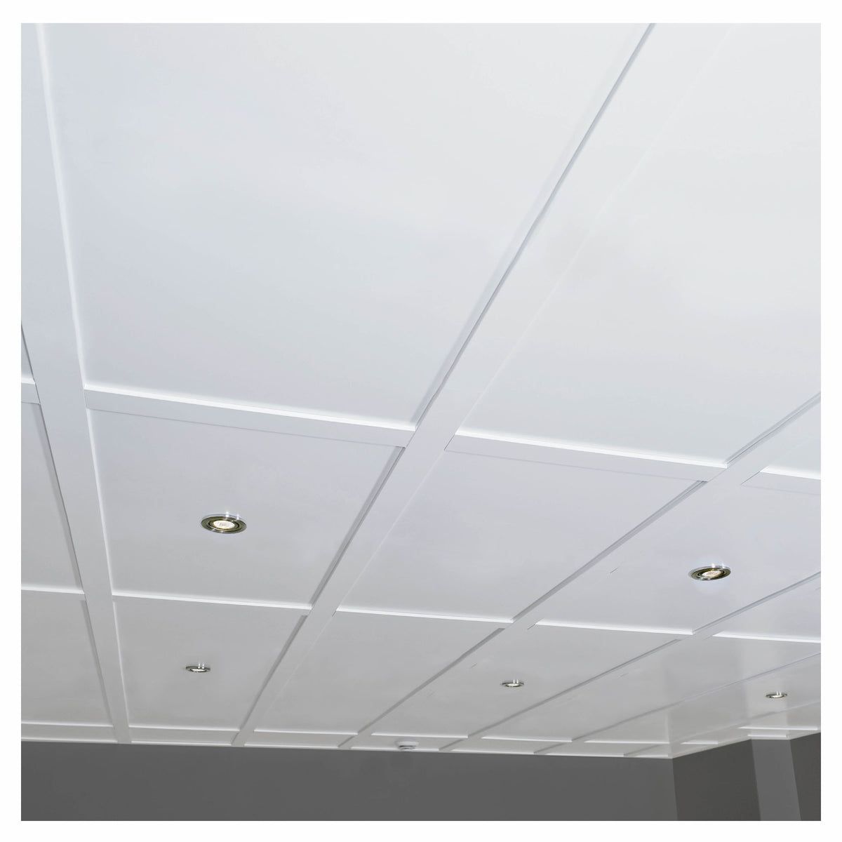 Tuiles pour plafond suspendu Embassy, 24'' x 48'' (4 unités)