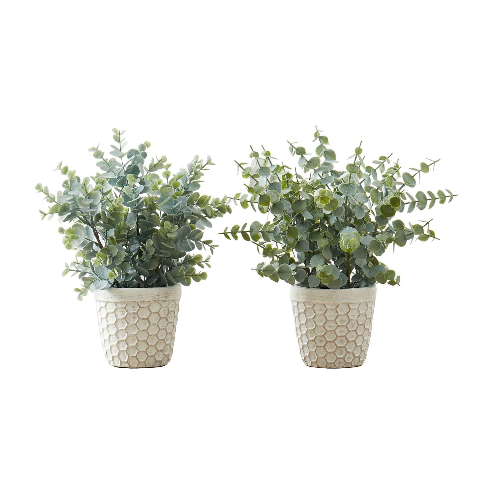 Plant d'Eucalyptus artificiel d'intérieur de 13'' en pot, 2 unités