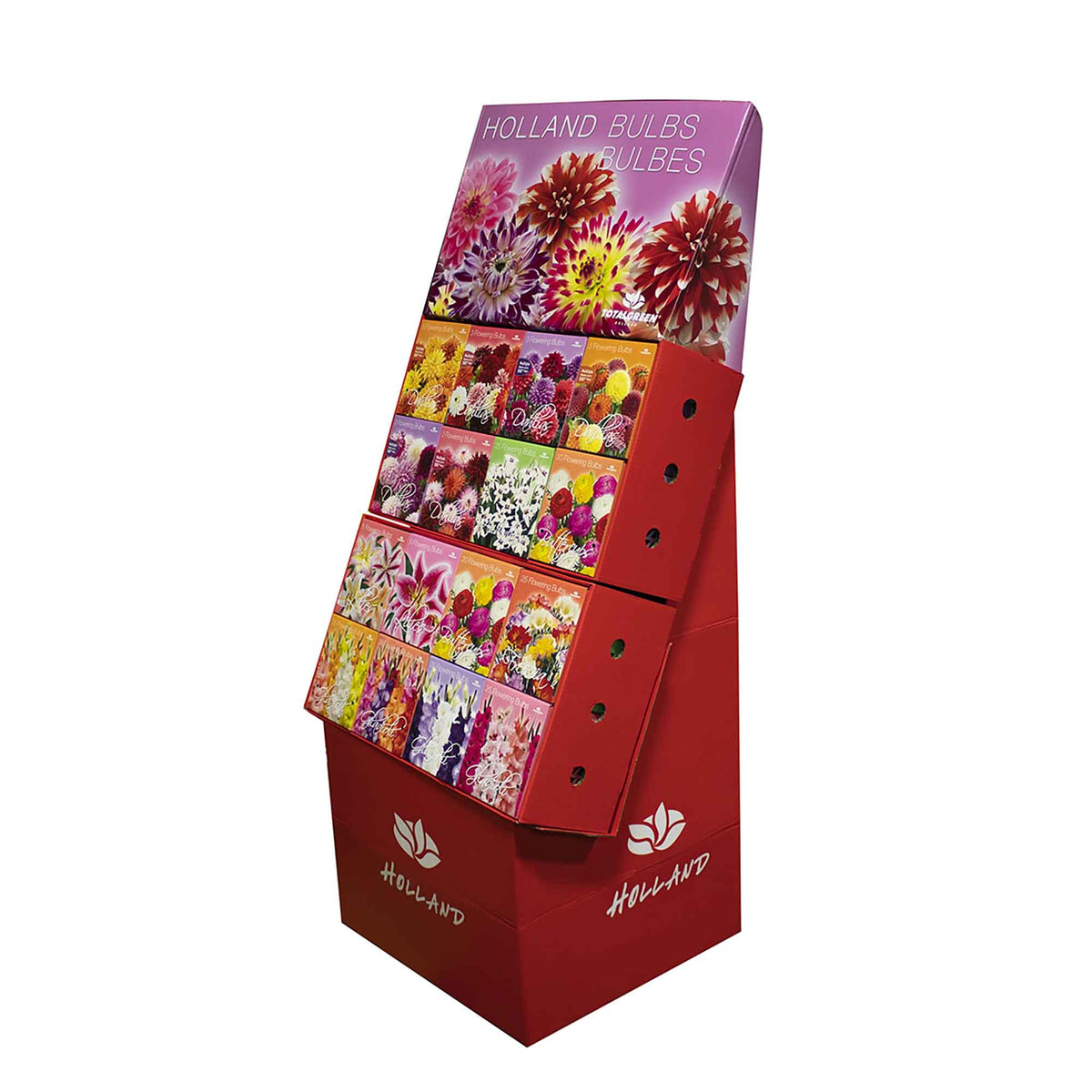 Bulbes de printemps variés