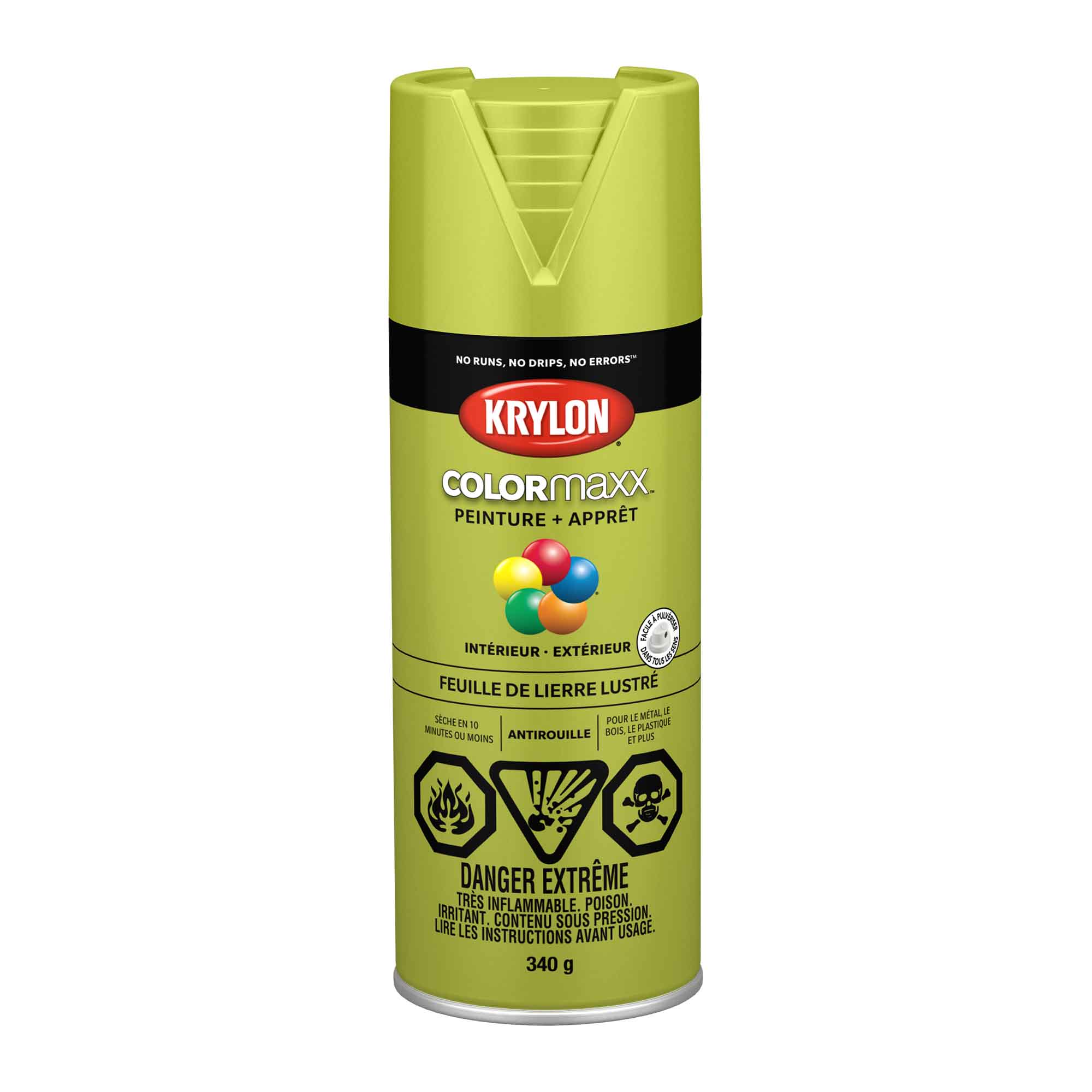 Krylon aérosol COLORMAXX peinture + apprêt feuille de lierre lustré, 340 g