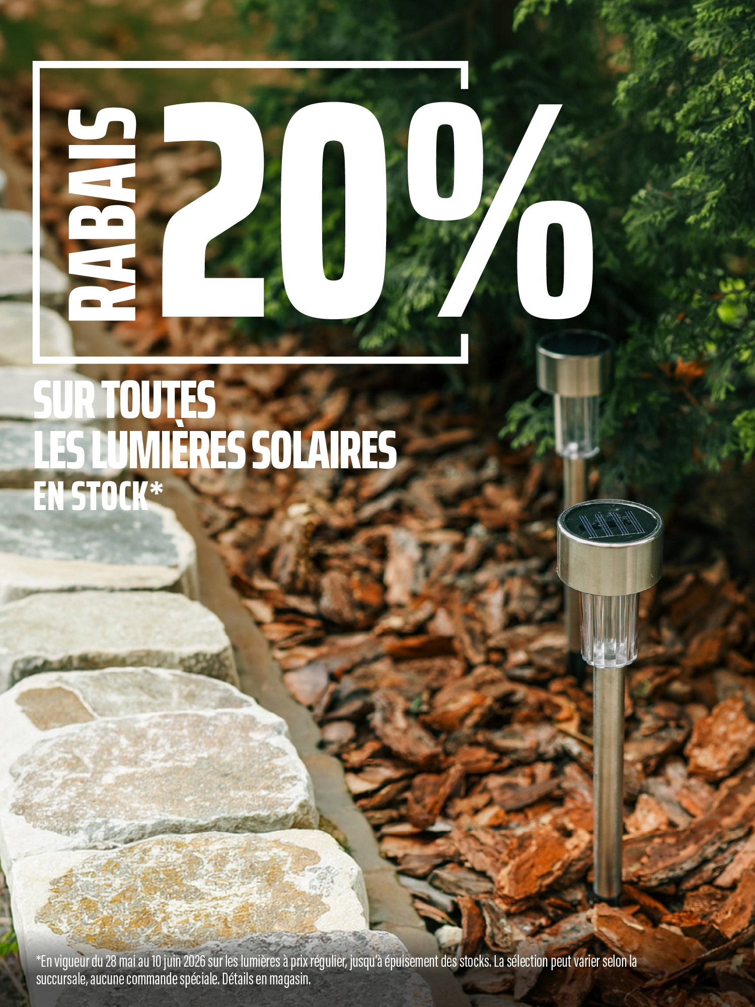 Lumières solaires