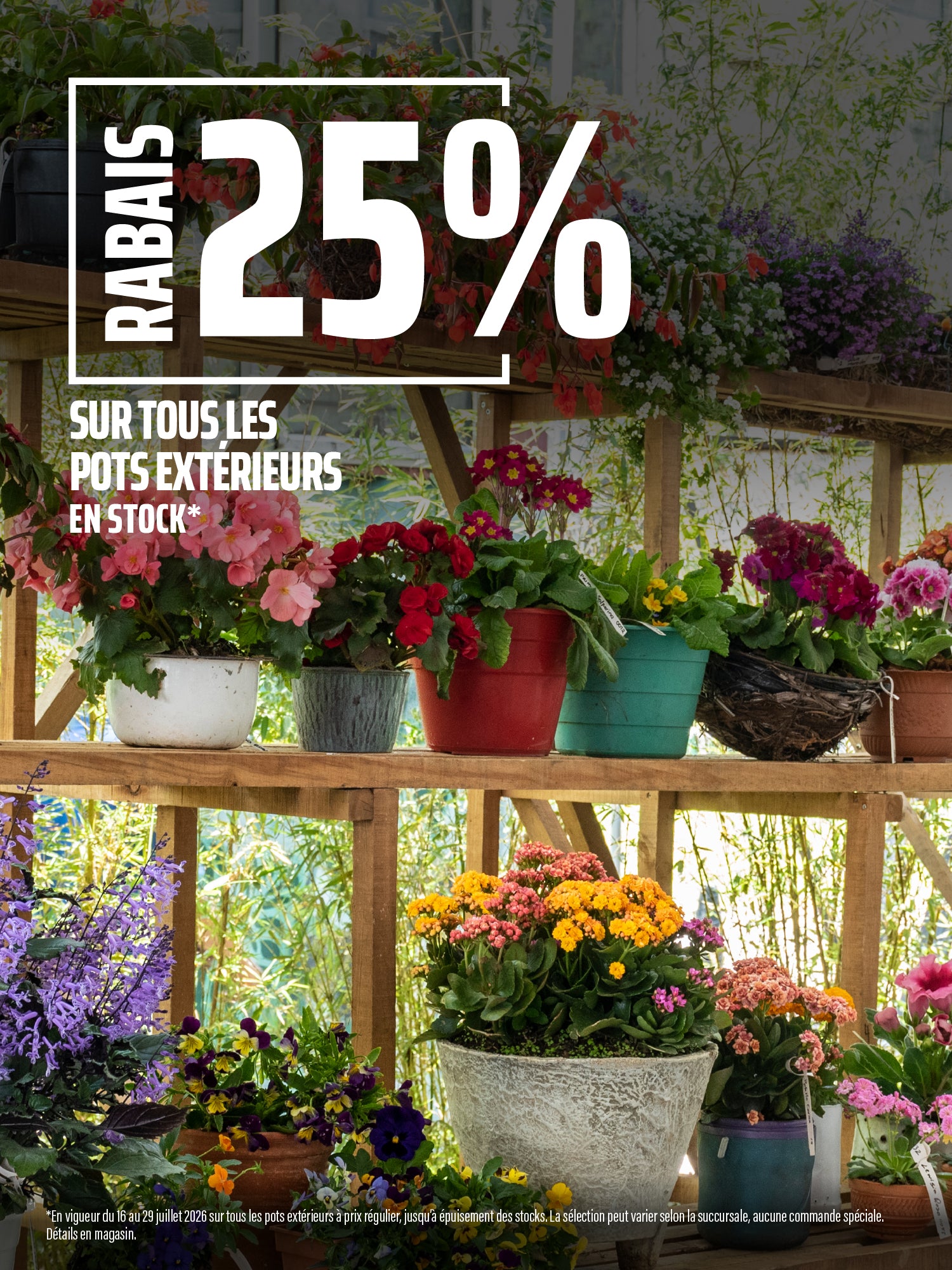 Pots extérieurs