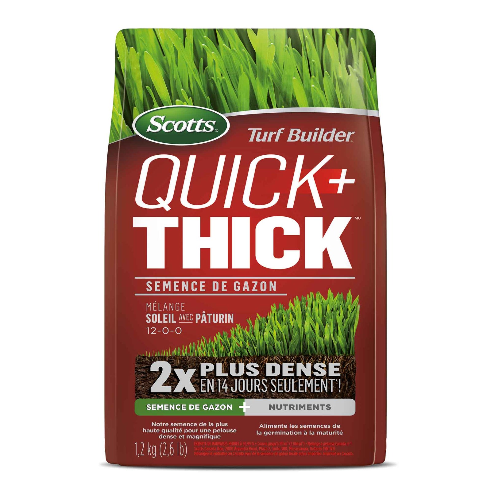 Semence de gazon Quick+ Thick mélange soleil avec pâturin 12-0-0, 1,2 kg