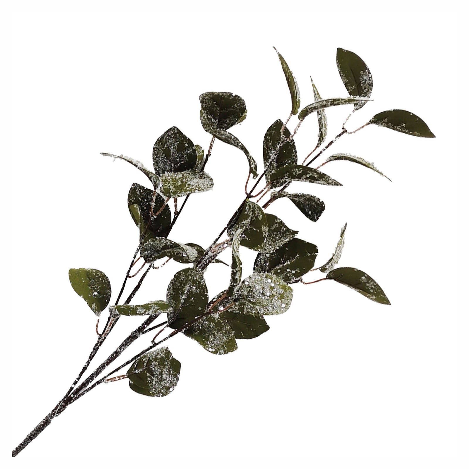 Pic de feuillage vert givré, 31"