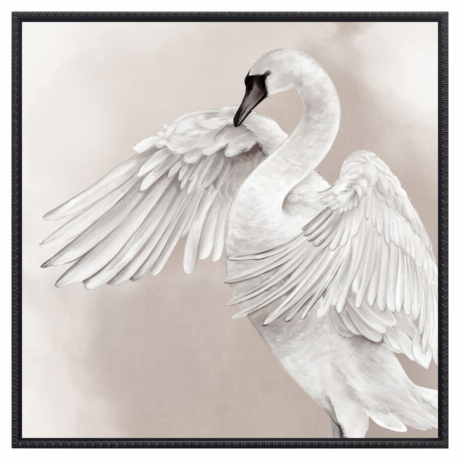 Canevas de cygne blanc gracieuse pose à gauche, 30" x 30"