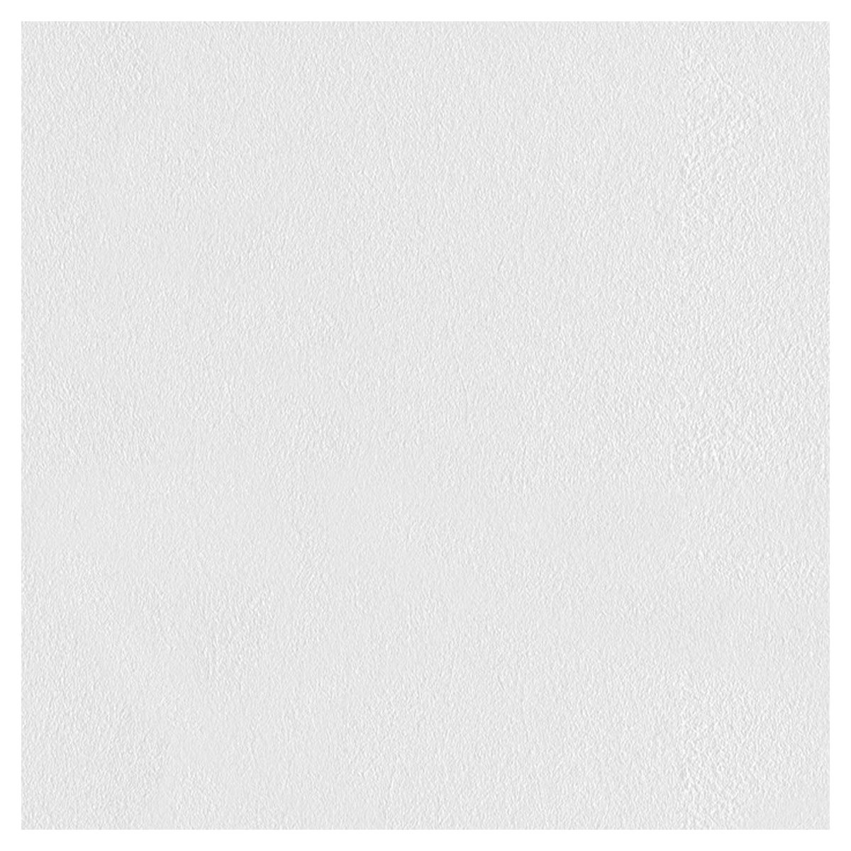 Panneau préfini en vinyle blanc neige, 4' x 8'