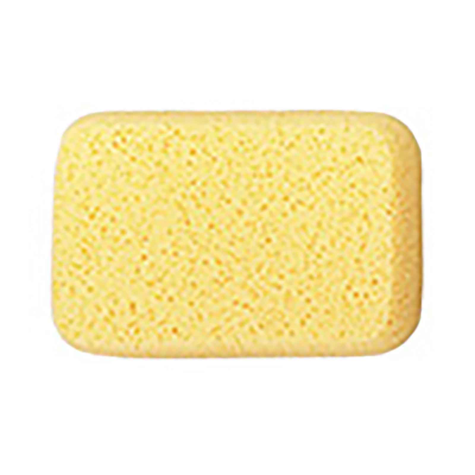 Éponge à coulis professionnelle 8" x 5" x 2" (20,3 x 12,7 x 5,1 cm)