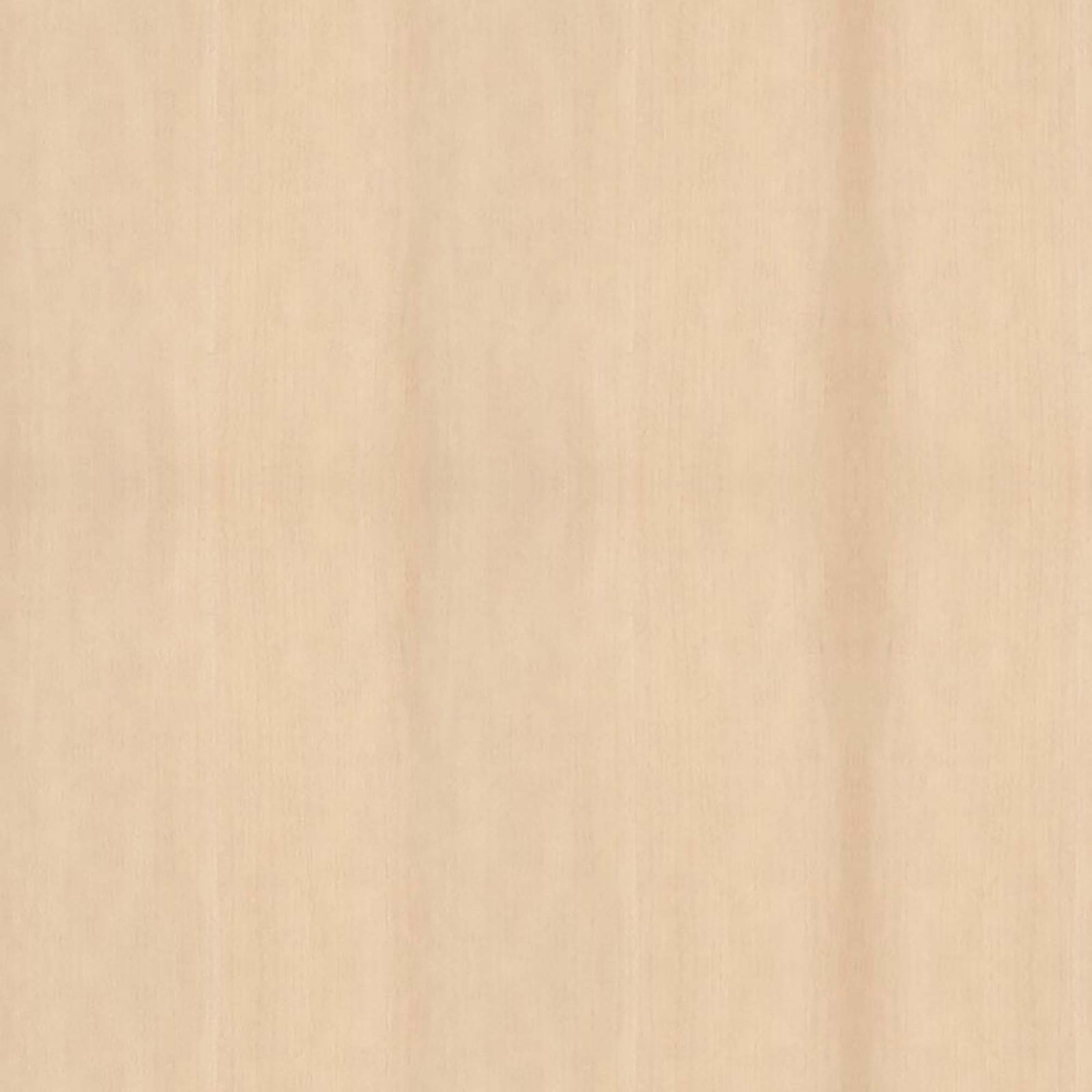 Bande de chant en érable, 7/8" x 25'