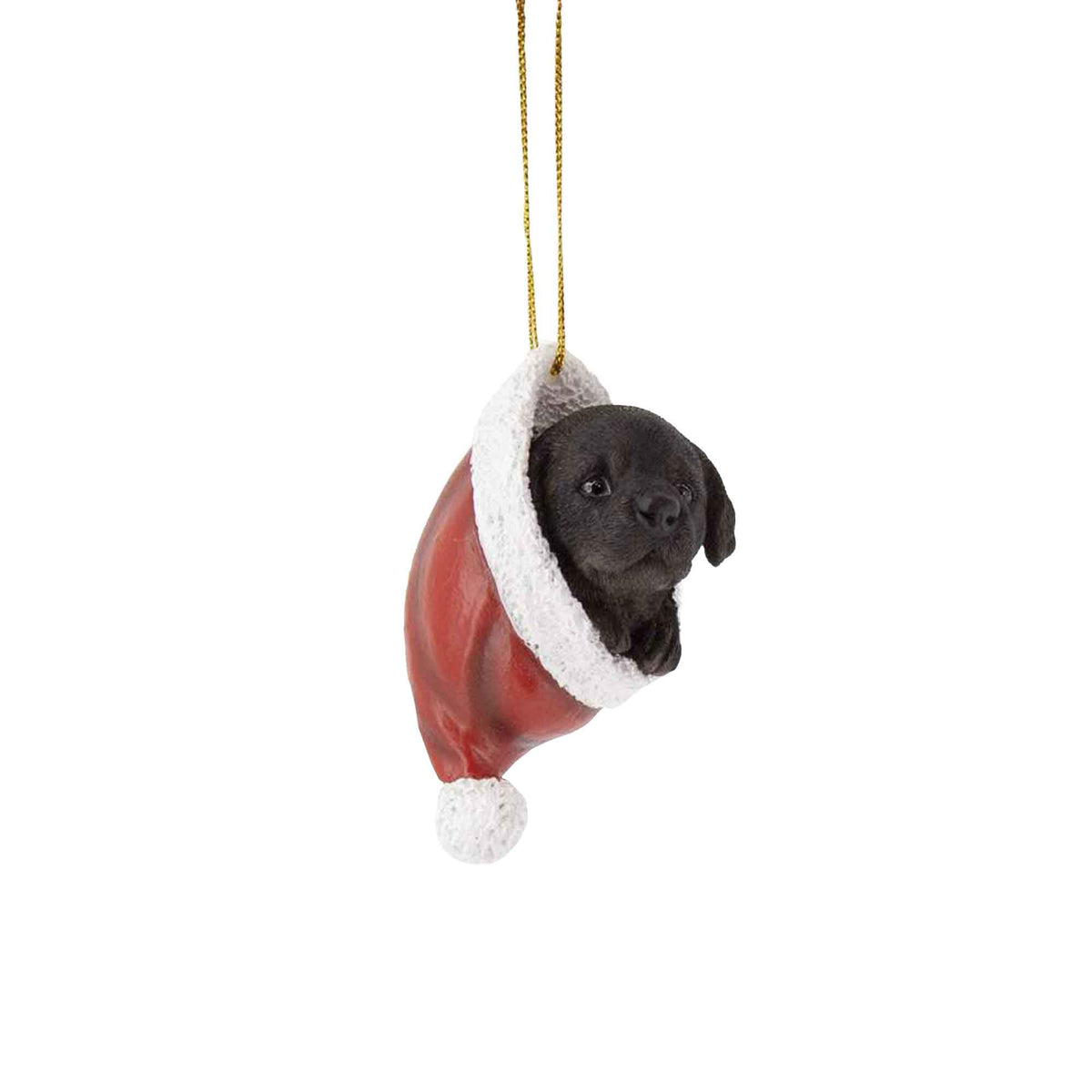 Chiot Labrador suspendu dans une tuque, 2&#39;&#39; x 2&#39;&#39; x 4&#39;&#39;