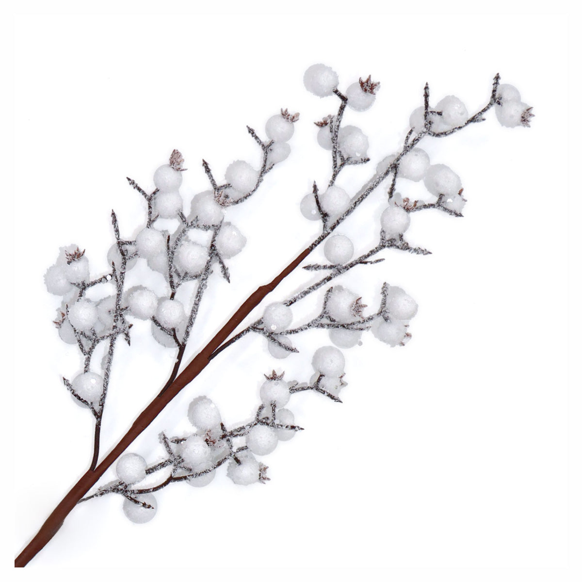 Pic de baies blanches givrées, 27,5"