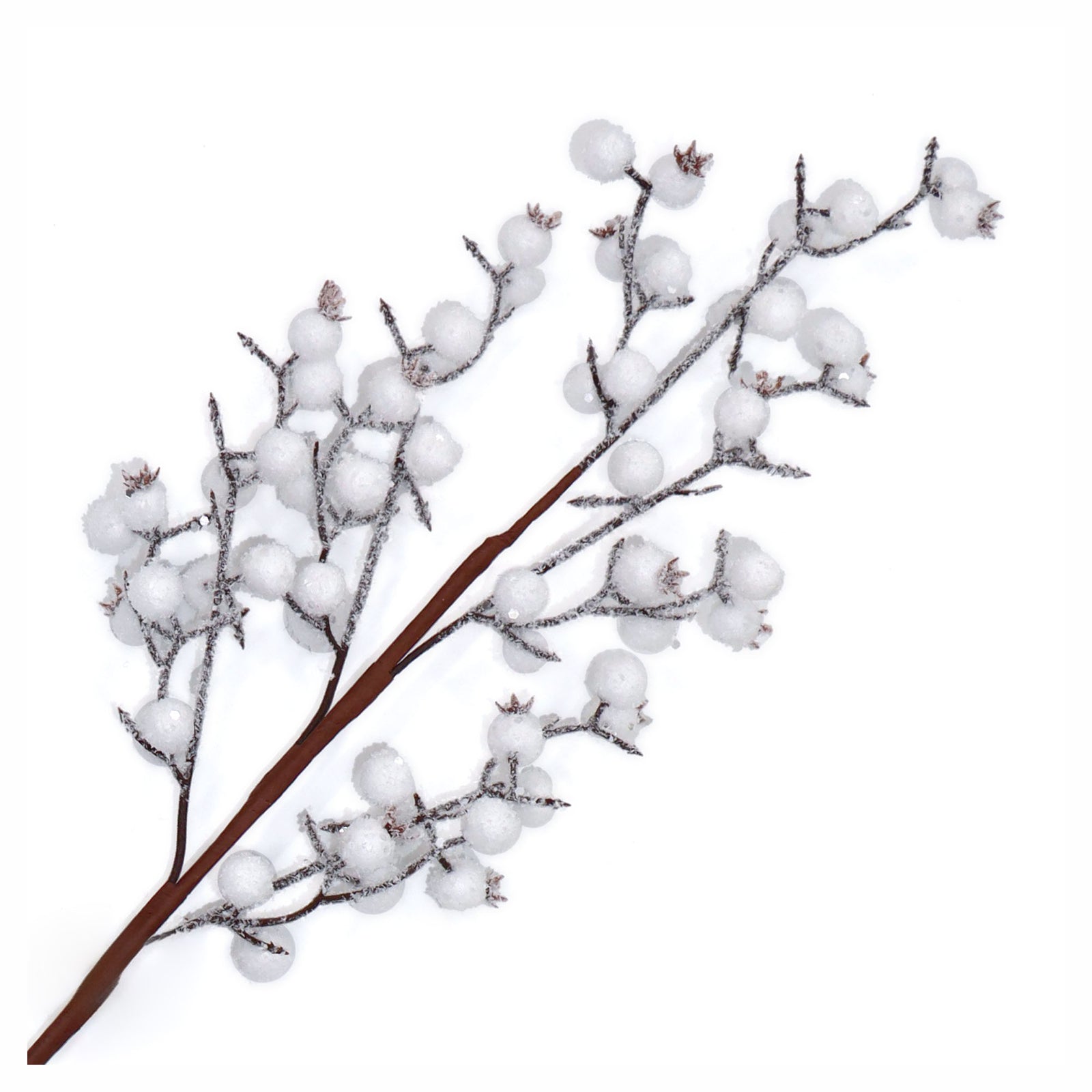 Pic de baies blanches givrées, 27,5"