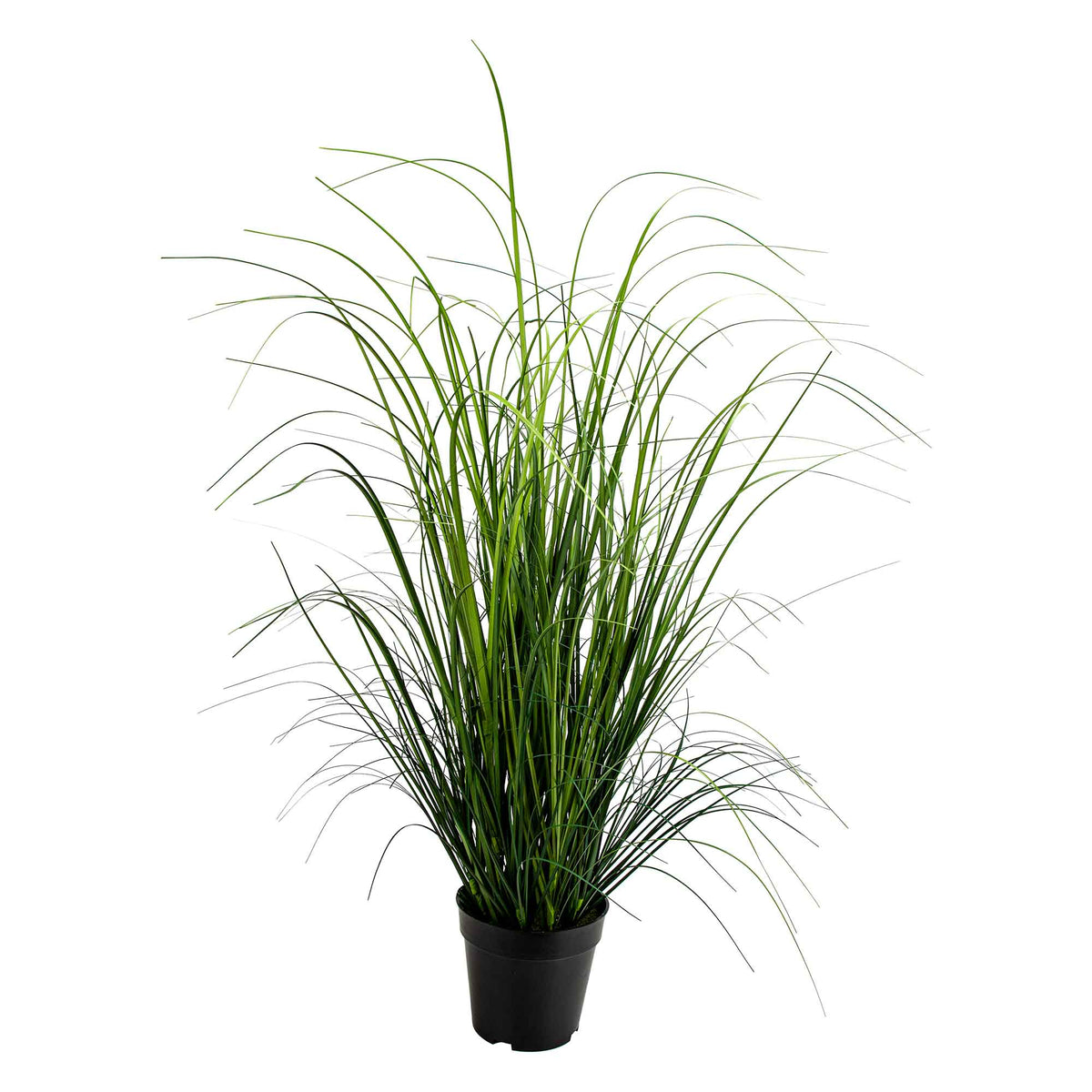 Herbe d'oignon artificielle traitée anti-UV en pot, 59"