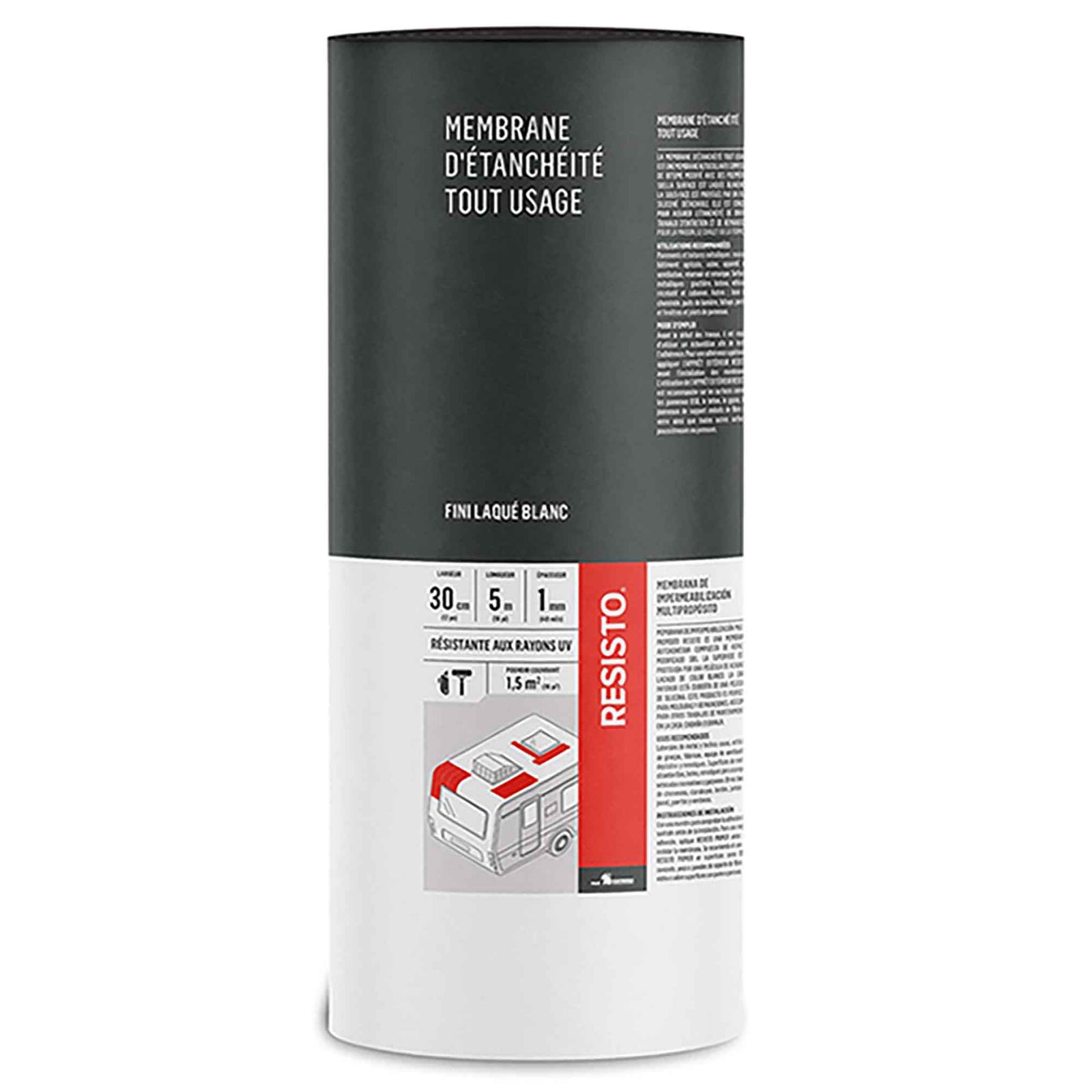 Membrane d'étanchéité tout usage au fini laqué blanc 12" x 16'