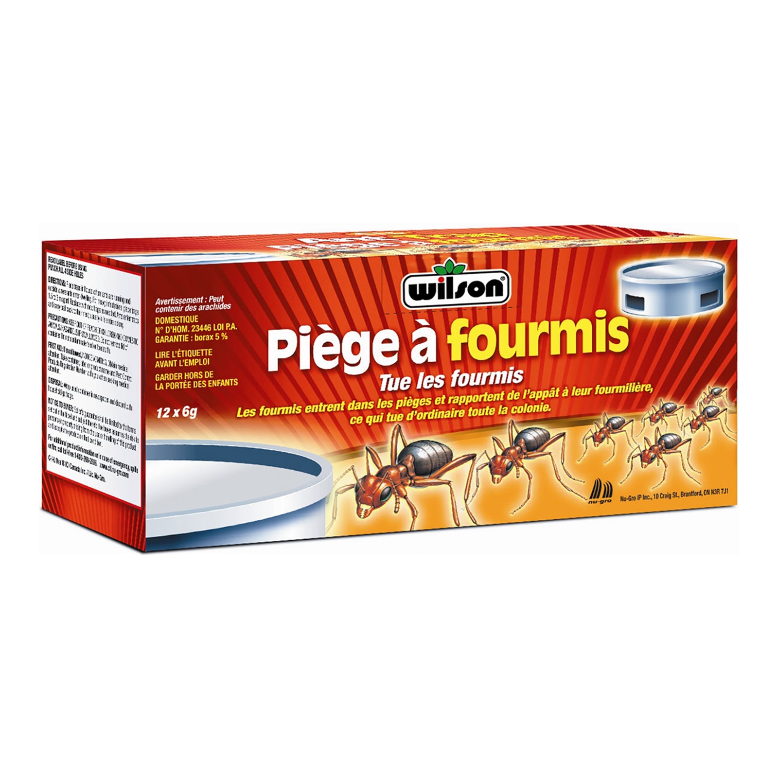 Piège à fourmis WILSON AntOut