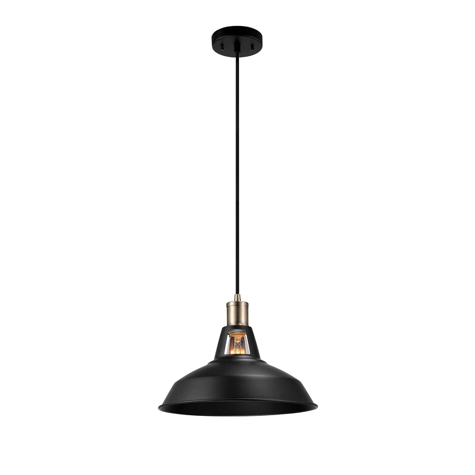 Luminaire suspendu Robin à 1 lumière, enfichable ou à câbler  