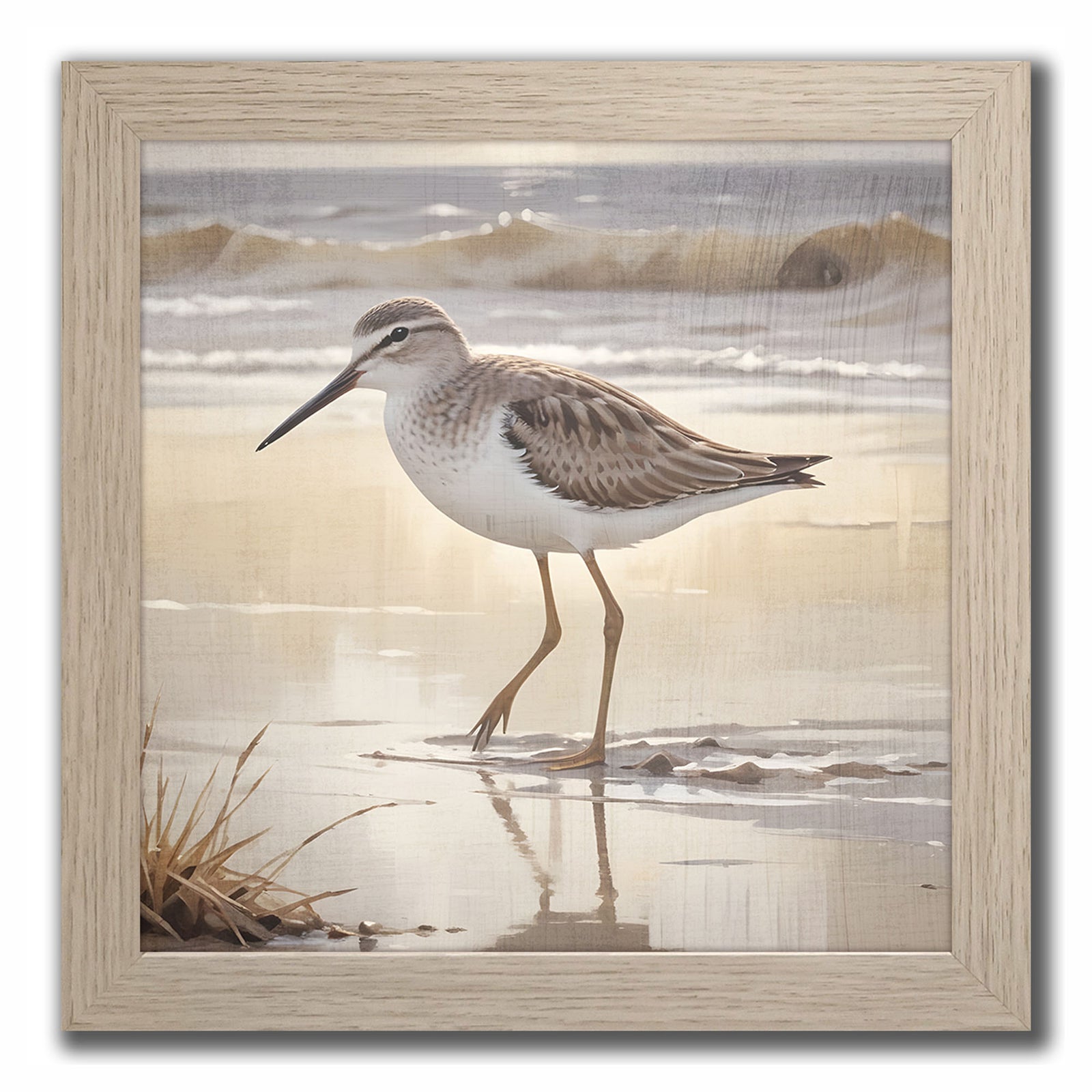 Toile avec cadre d'oiseau au bord de l'eau II, 12" x 12"