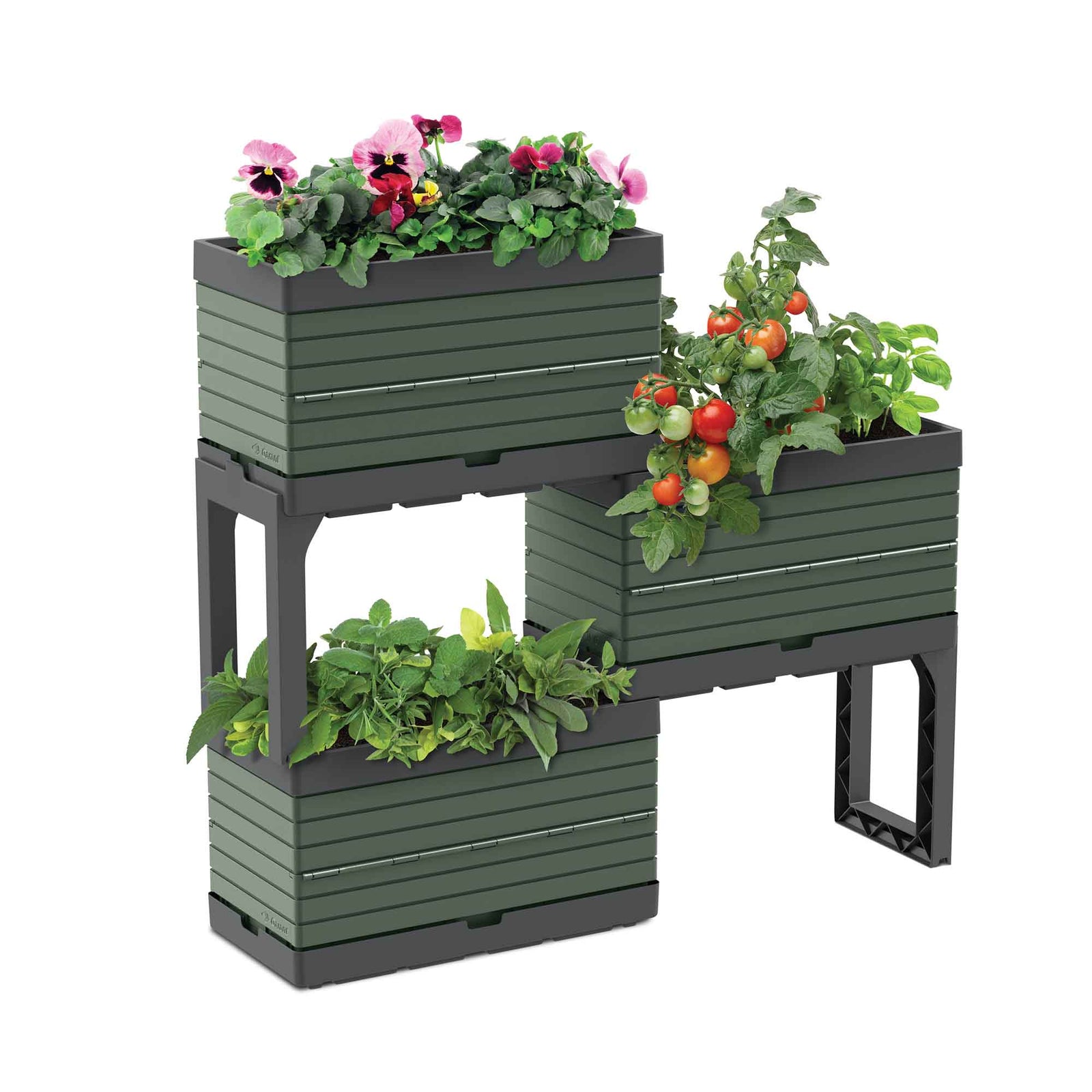 Jardin modulaire à 3 niveaux, vert