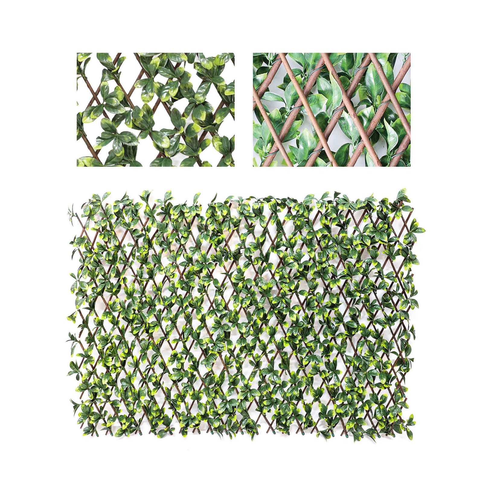 Treillis extensible avec feuilles de gardénia, 36" x 72"