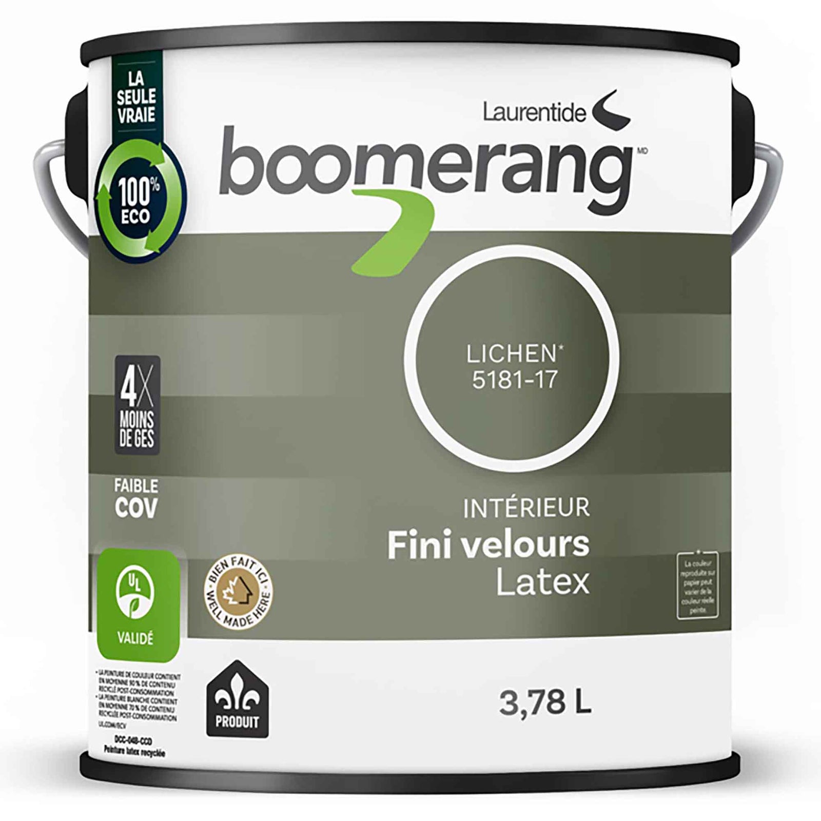 Peinture d’intérieur au latex velours, 3,78 L (lichen)