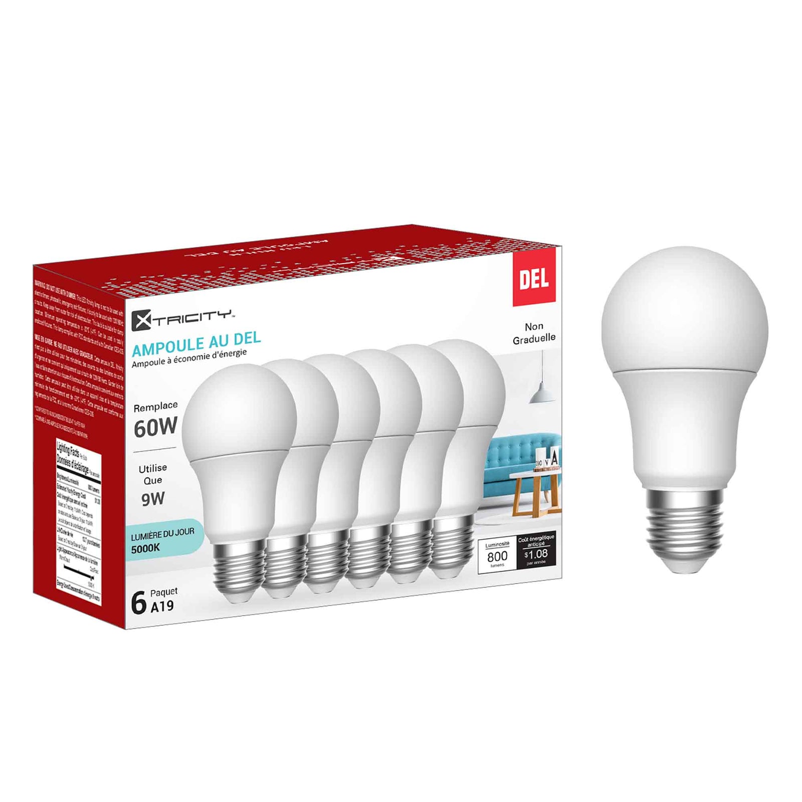 Ampoule non graduable DEL A19 9 W lumière du jour 5 000K, 6 unités