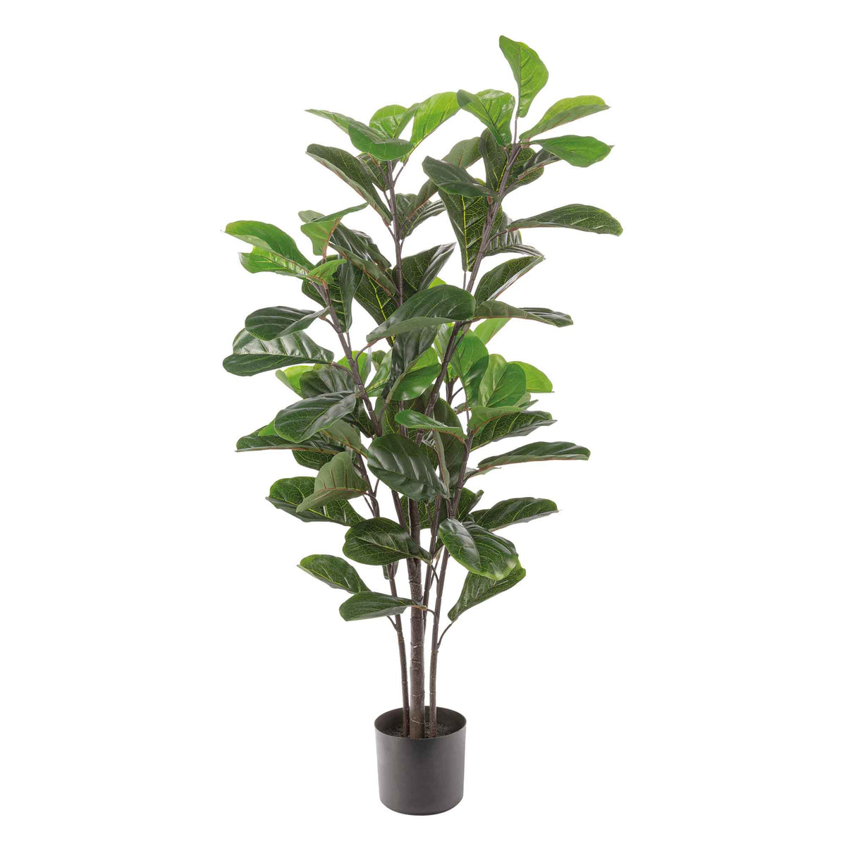 Plante artificielle ficus lyrata, 57&quot; × 8&quot; × 8&#39;&#39;