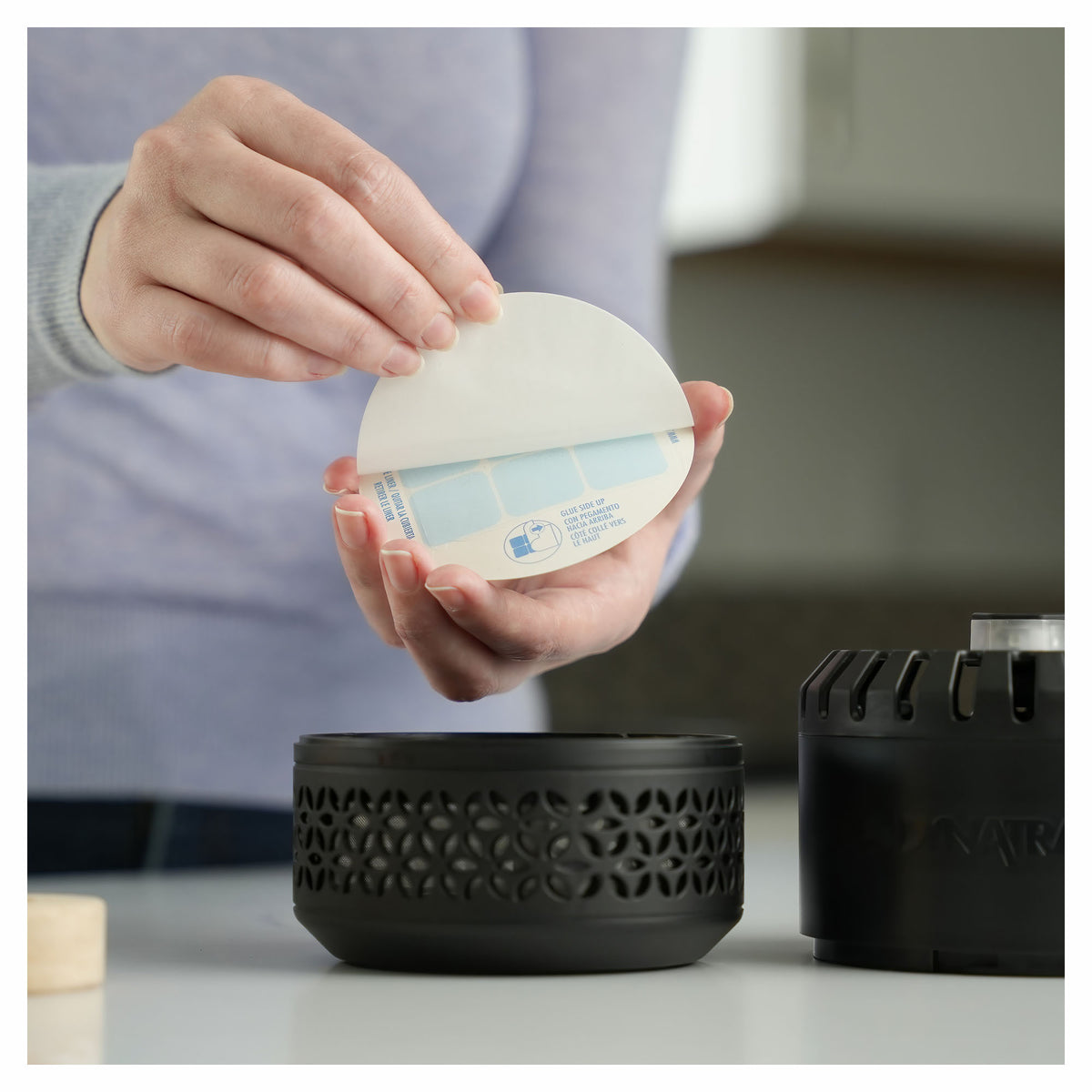 Cartes de rechange adhésives Dynatrap StickyTech, 12 unités