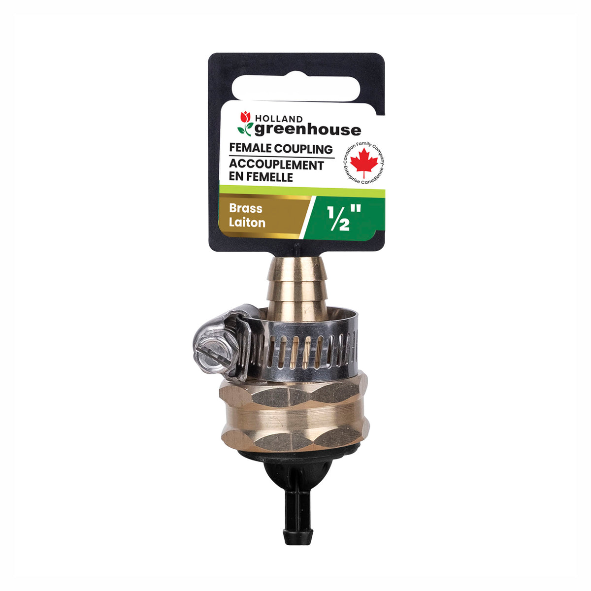 Raccord femelle en laiton pour boyau d'arrosage, 1/2"