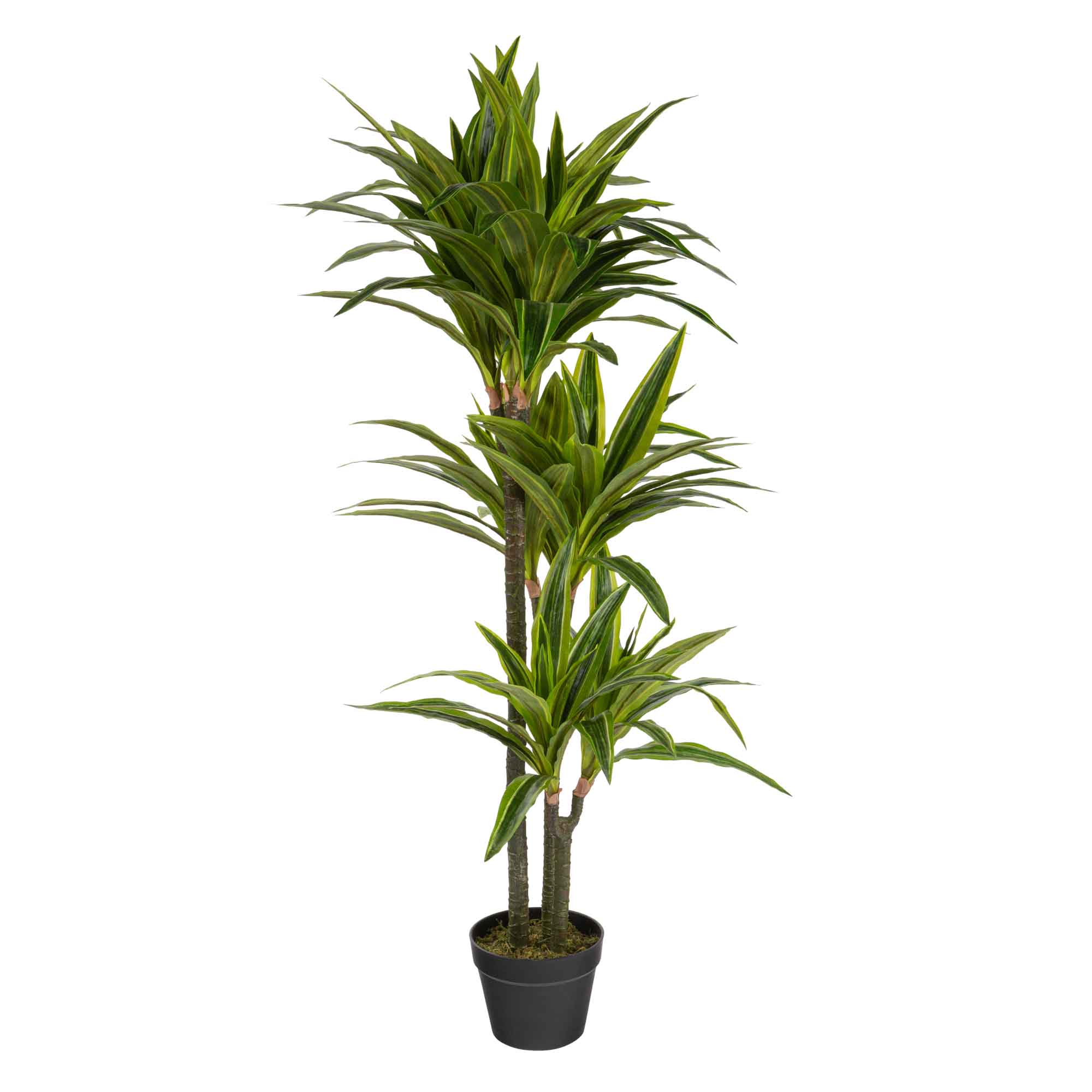 Plante artificielle Dracaena, 47″