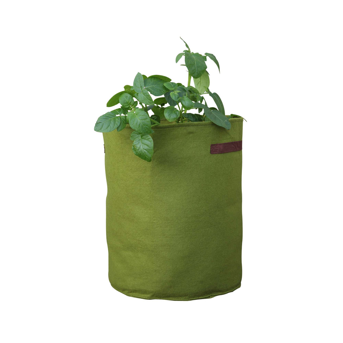 Jardinière Vigoroot pour plants de tomates et de pommes de terre, 14&#39;&#39; x 18&#39;&#39;