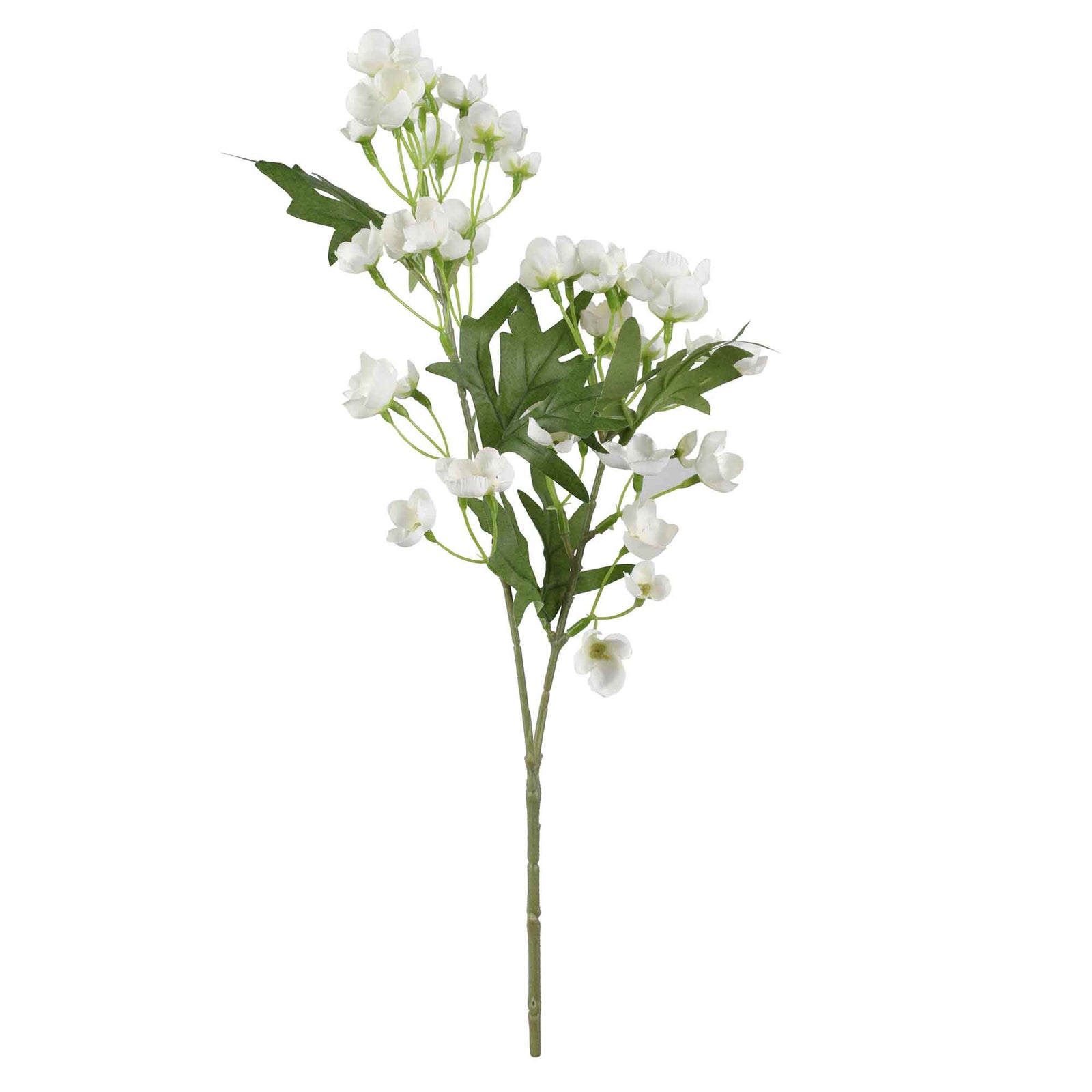 Branche de pommier fleuri, 24,4''