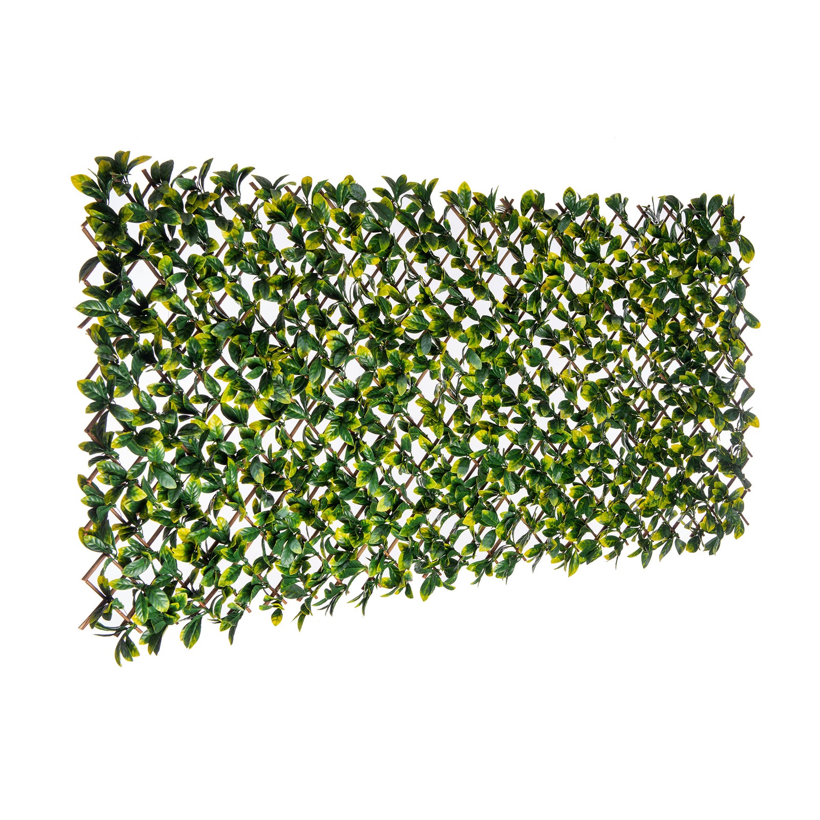 Treillis extensible avec feuilles de laurier, 36" x 72" 
