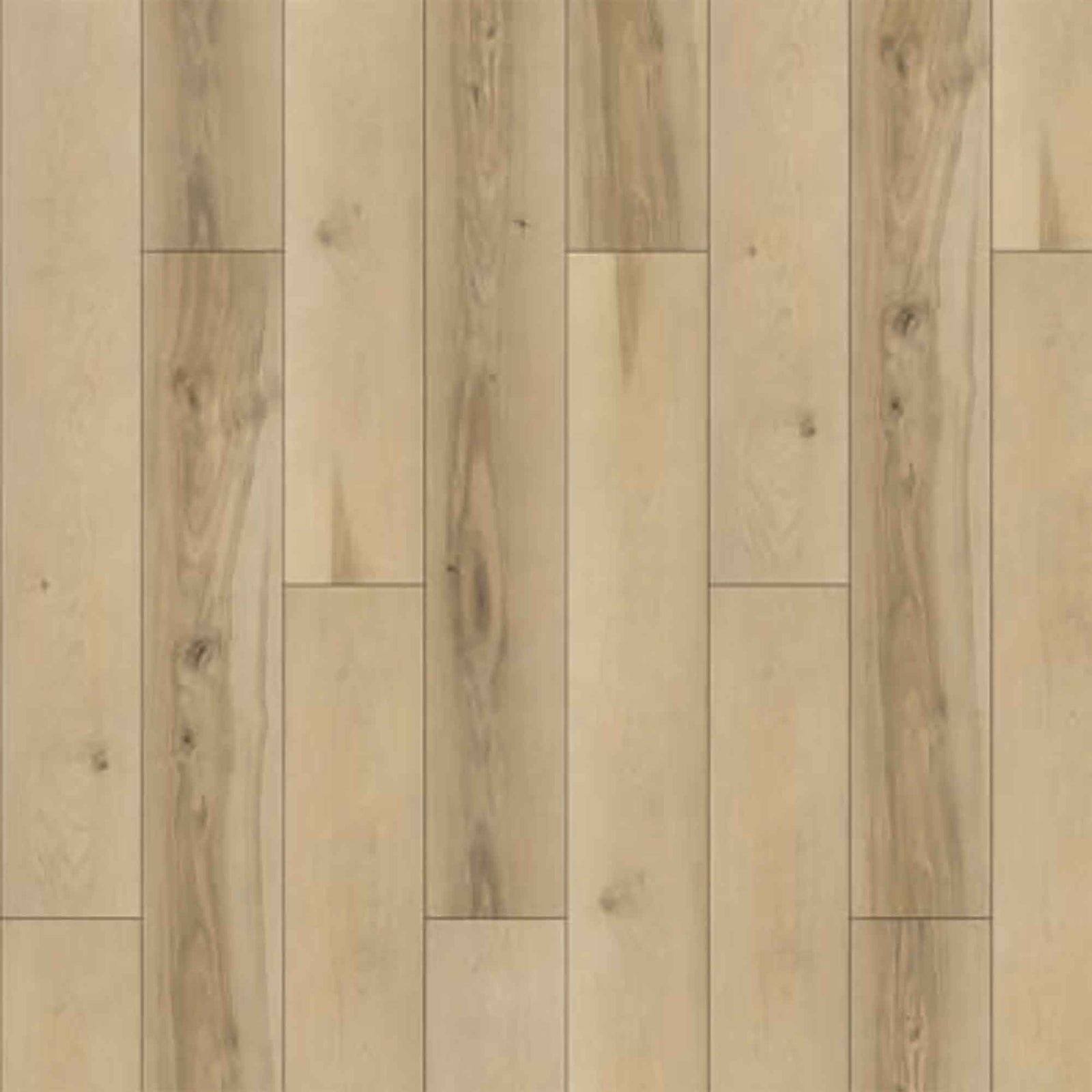 Plancher SPC flottant Ocean Anemone, 5,5 mm