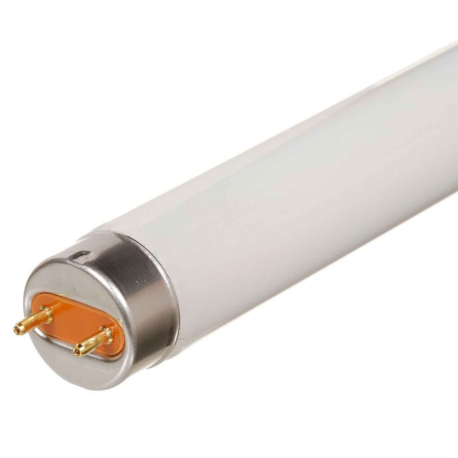 Tube fluorescent F54T5 HO blanc froid 54 W, 46"
